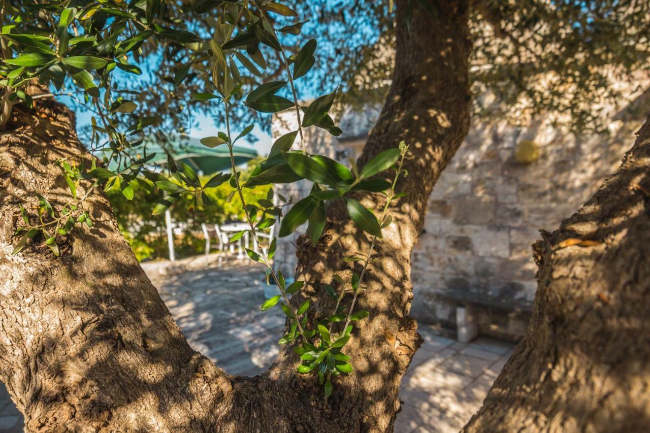 Villa Trullo Olive Tree à Locorotondo Extérieur photo